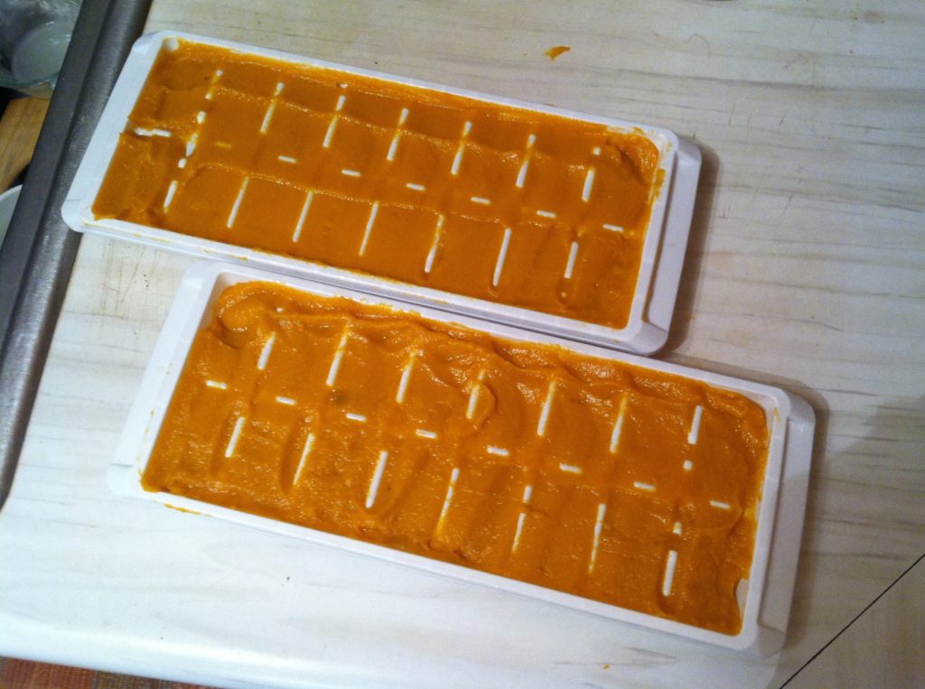 easy baby food ideas - freeze food in ice cube trays!