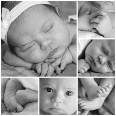 Sofia Elizabeth - The Tex-Mex Mom