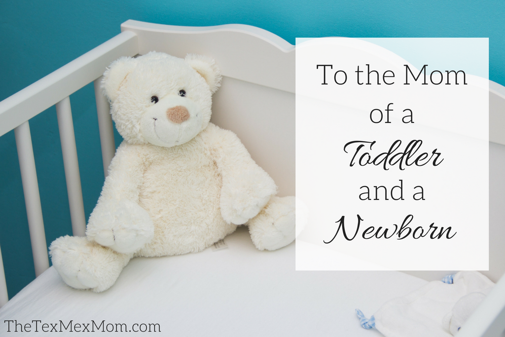 mom of a toddler and a newborn #momoftwo