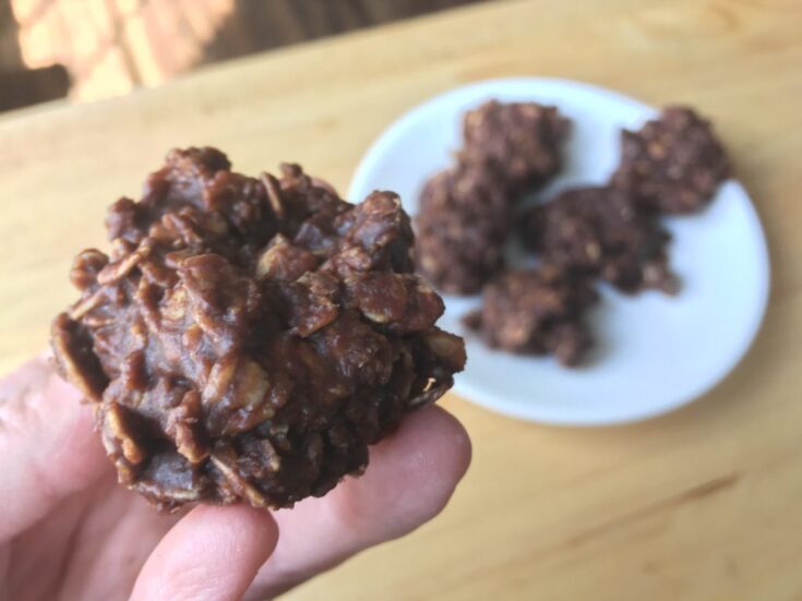 Peanut Butter Chocolate No-Bake Cookies