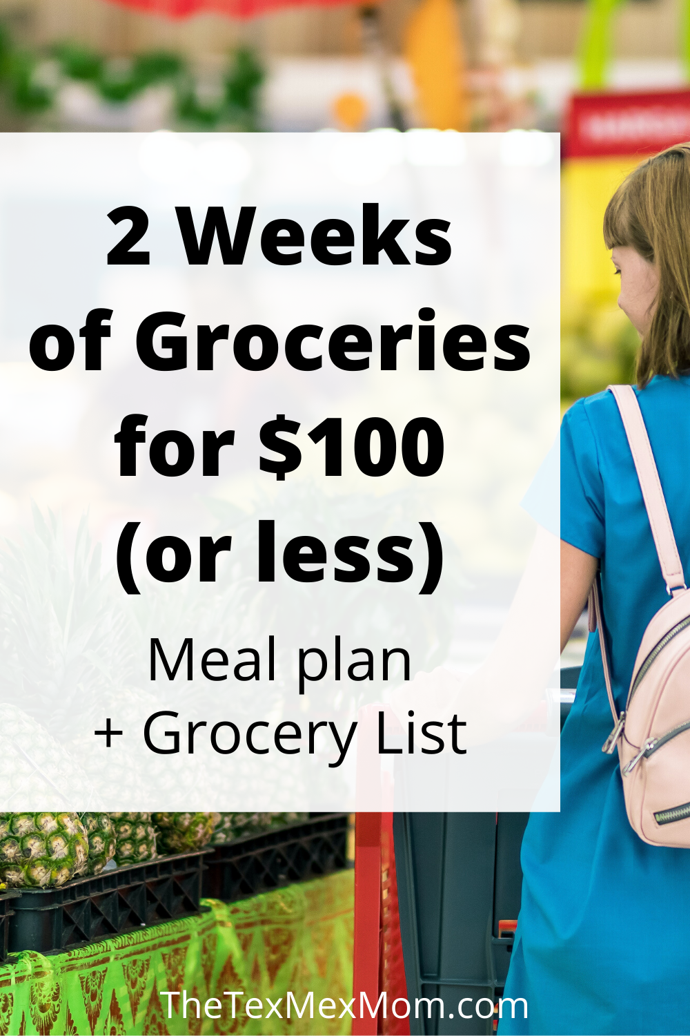 2 weeks of groceries for $100 or less