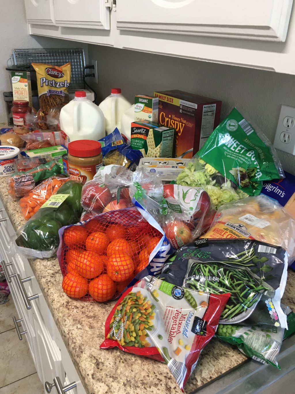 Groceries on a $100 bi-weekly budget