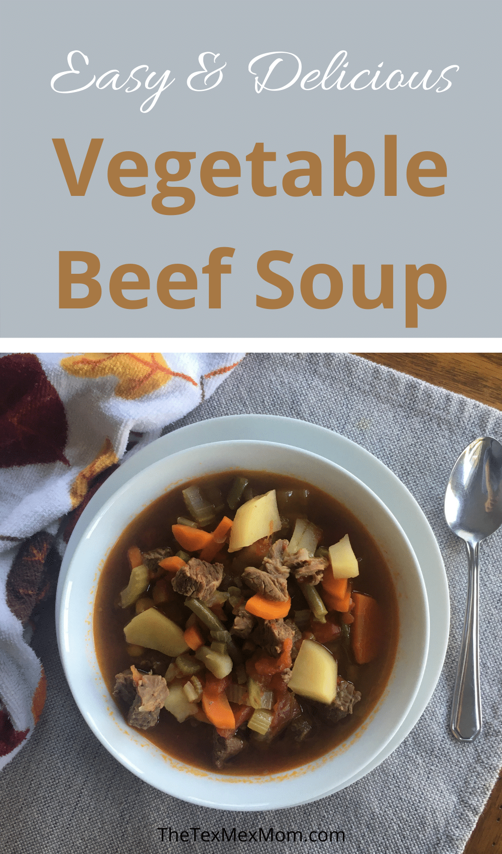 Vegetable Beef Soup