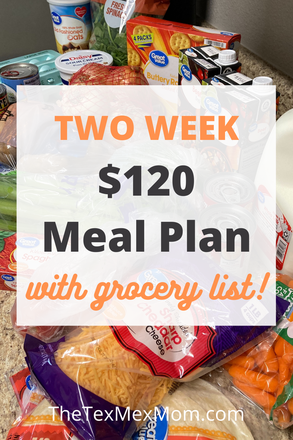 $120 Two Week Grocery Budget 