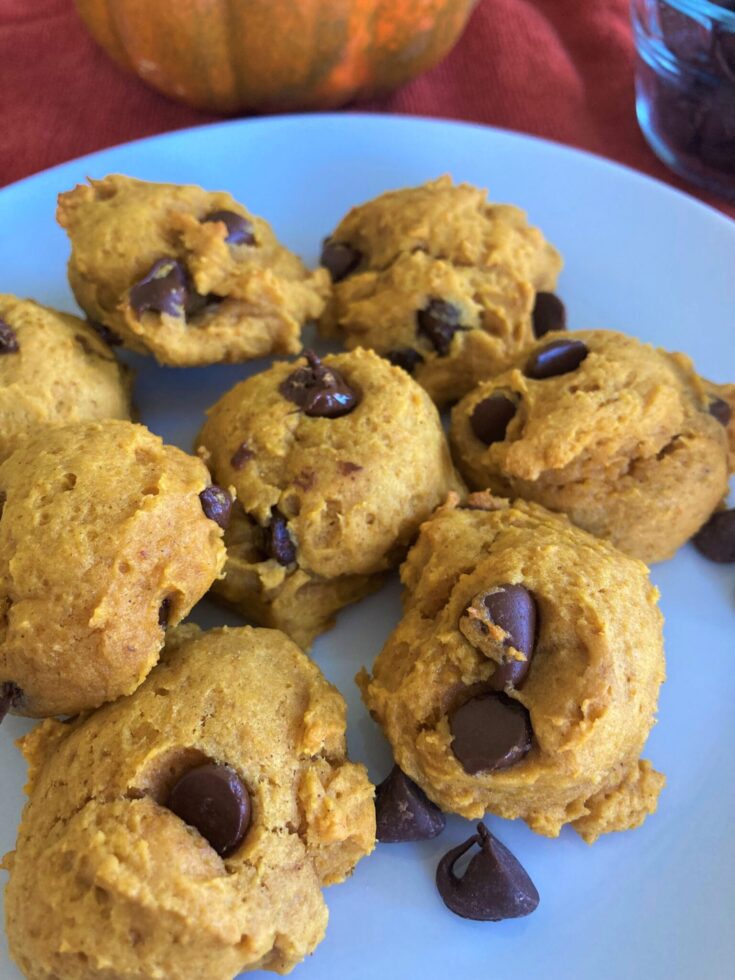 Egg-Free Pumpkin Chocolate Chip Cookies