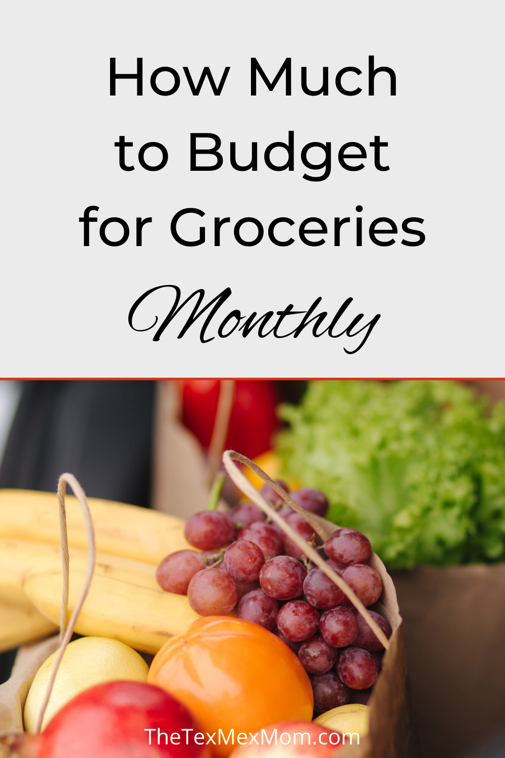 How Much Should You Budget for Groceries Per Month? The TexMex Mom