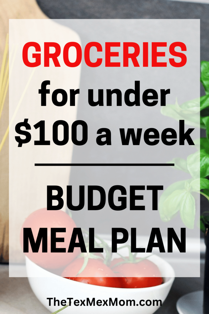 groceries for under $100 - budget meal plan