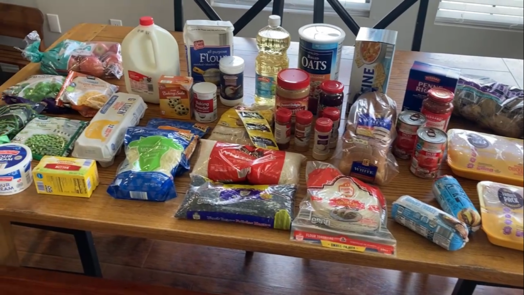 $100 Aldi Grocery Haul