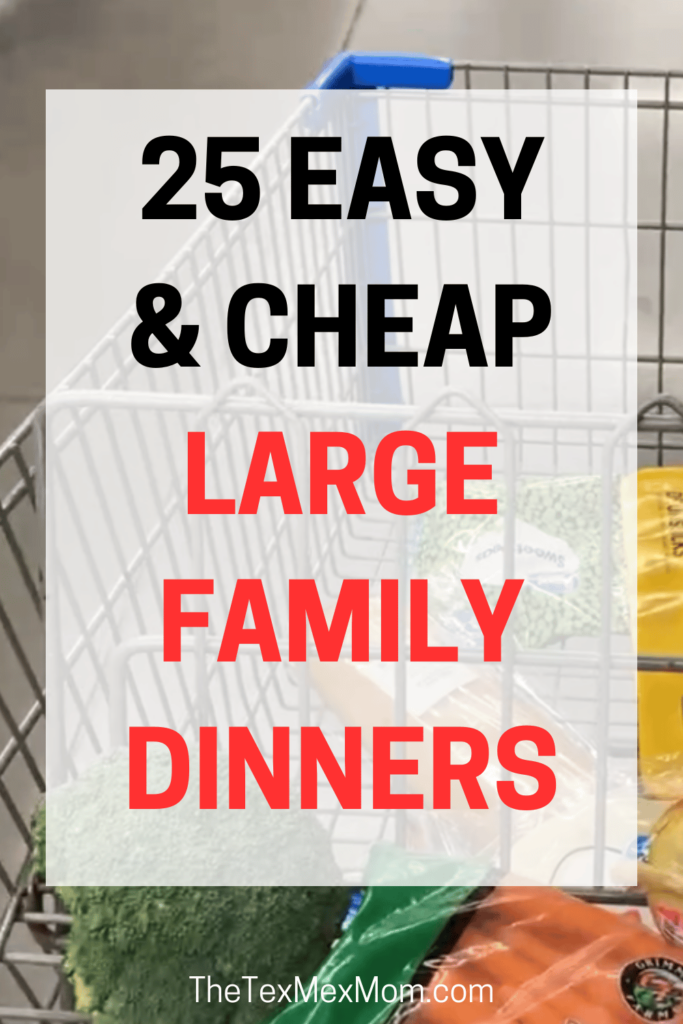 25 easy and cheap large family dinners
