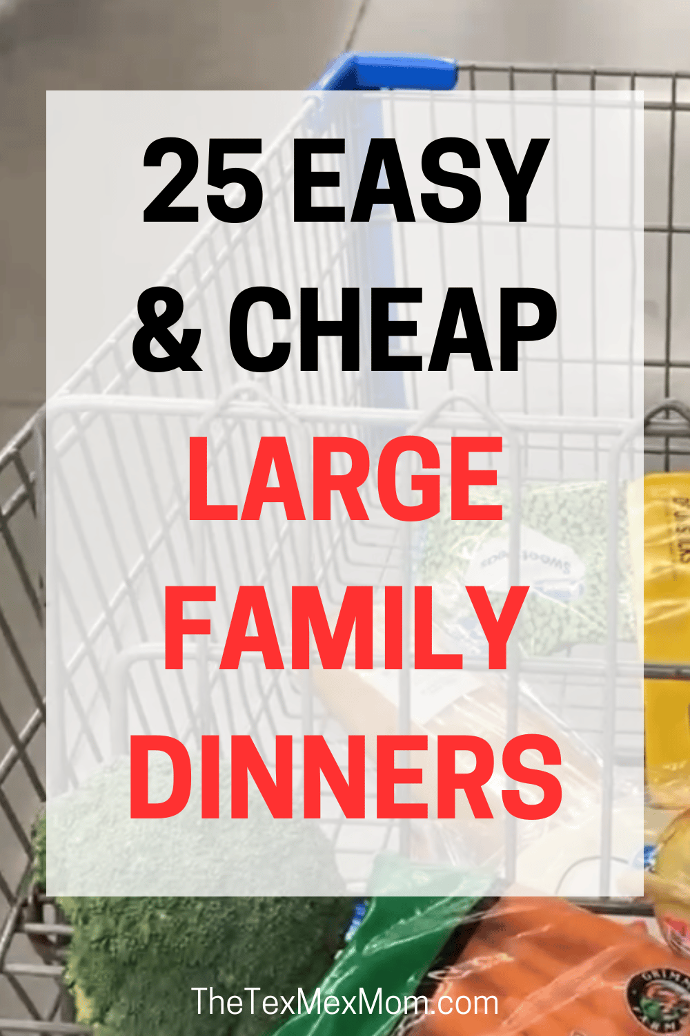 Feeding a Large Family for Cheap - 25 Easy Meal Ideas - The Tex-Mex Mom